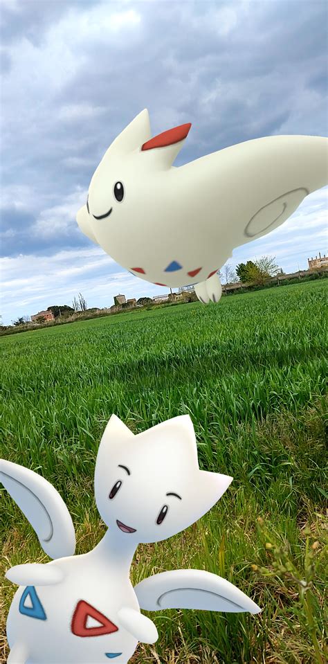 Finally got a shiny togetic for the community day! Kinda like more the non-shiny pattern but I ...