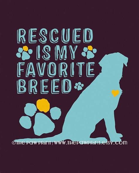 Pet Rescue Quotes. QuotesGram