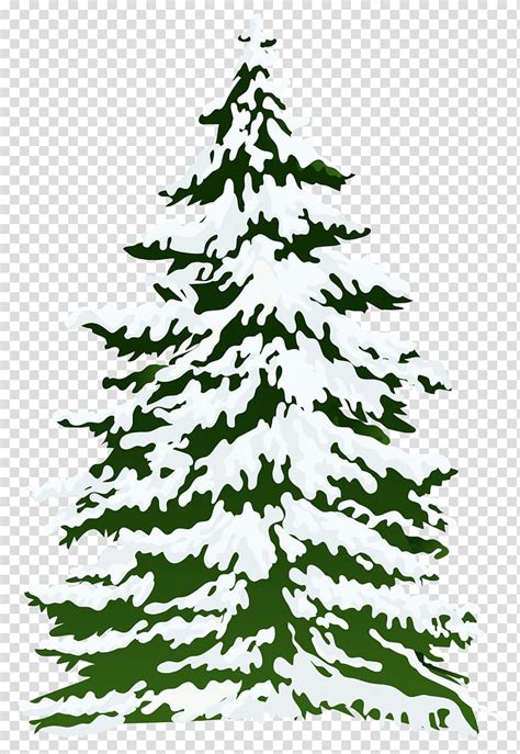 winter evergreen trees clipart 10 free Cliparts | Download images on ...