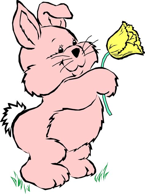 Cartoon Rabbit Wallpaper / Cartoon Rabbits Pictures - ClipArt Best | Lydia Barnett