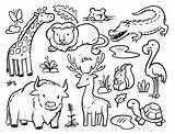 Premium Vector  Doodle Animals collection coloring sketch template