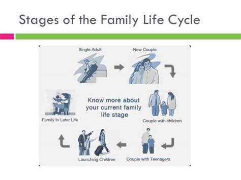 Family Life Stages