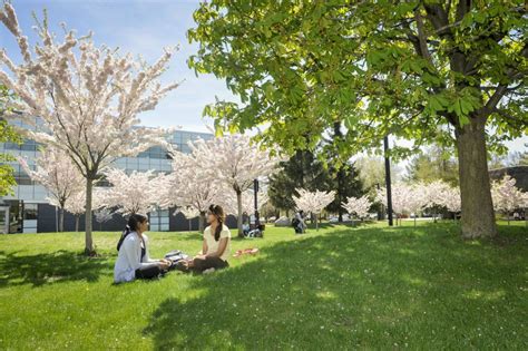 Undergraduate at UTSC - Department of Philosophy - University of Toronto