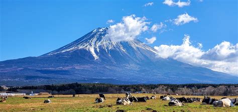 3,000+ Free Mount-Fuji & Mount Fuji Images - Pixabay