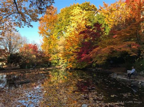 Where to See Spectacular Fall Colors in Southern Oregon