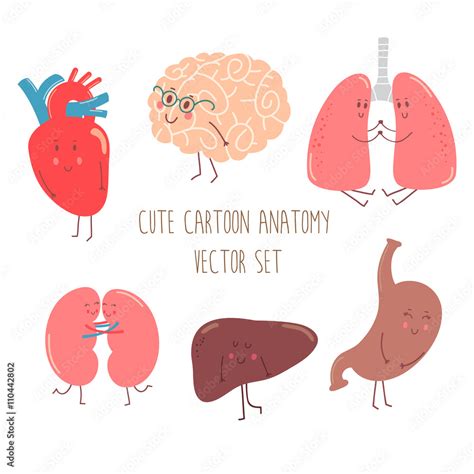 Cute cartoon anatomy vector set with funny organs, heart, brain, lungs, kidneys, liver and ...