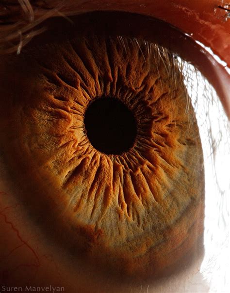 'Your Beautiful Eyes' - Amazing Close-Up Photos Of Human Eyes By Suren ...