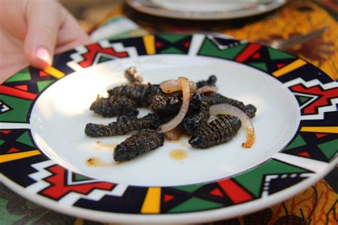 Zimbabwean Food: 17 Popular and Traditional Dishes to Try - Nomad Paradise