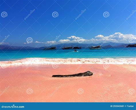 Pink Beach at Komodo National Park (Komodo Island) Stock Image - Image of island, idyllic: 292042681