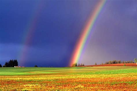 Rainbow Nature Wallpapers - Top Free Rainbow Nature Backgrounds - WallpaperAccess