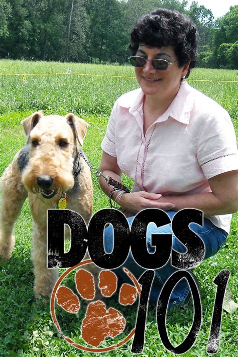 Dogs 101 Season 1 Episodes Streaming Online | Free Trial | The Roku Channel | Roku