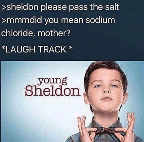 On February 15 let's all post Young Sheldon memes and ask Pyro to ...