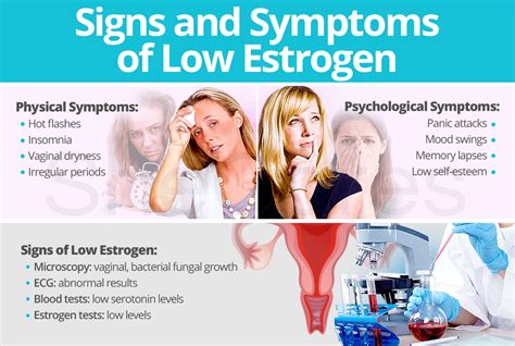 10 signs your body has too much estrogen and how to start flushing it out immediately – Artofit