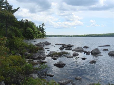 Branch Lake Public Forest - Frenchman Bay Conservancy