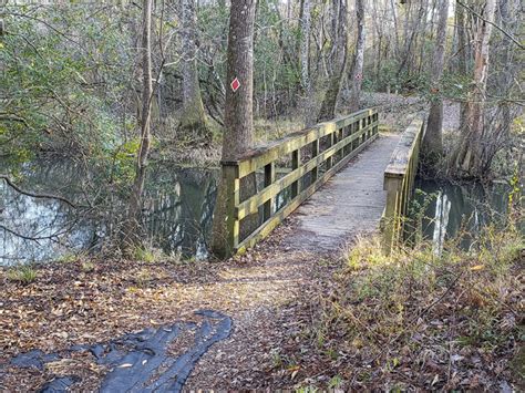 Bogue Chitto State Park loaded with outdoor fun | The Heart of Louisiana