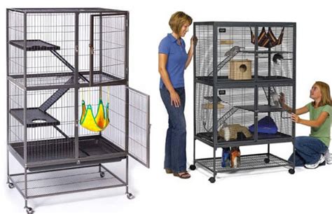 Large ferret cages – ThatsTheStuff.net