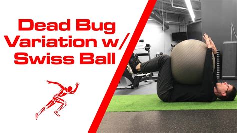 Dead Bug With A Swiss Ball Variation - YouTube