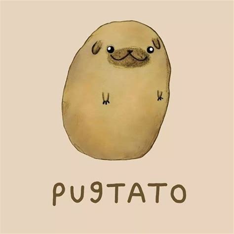 10 Of The Cutest Animal Illustration With Clever Puns