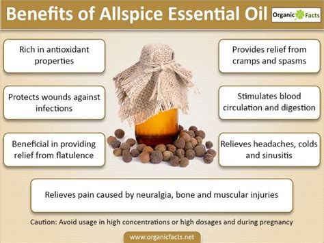 10 Best Benefits of Allspice Essential Oil | Organic Facts