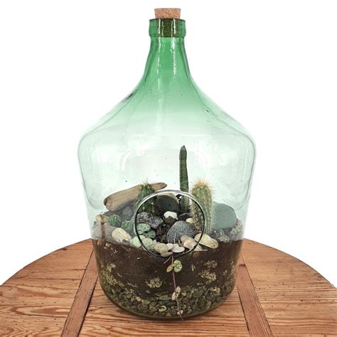 Glass Bottle Terrarium - 10L - The Lost Flower Shed - Plant Shop