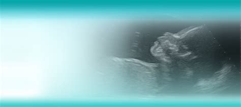 OB-GYN Ultrasound - Test & Learn Quiz | All About Ultrasound