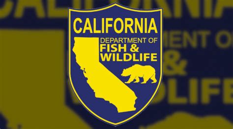 california department of fish and wildlife | KIBS/KBOV Inyo County ...