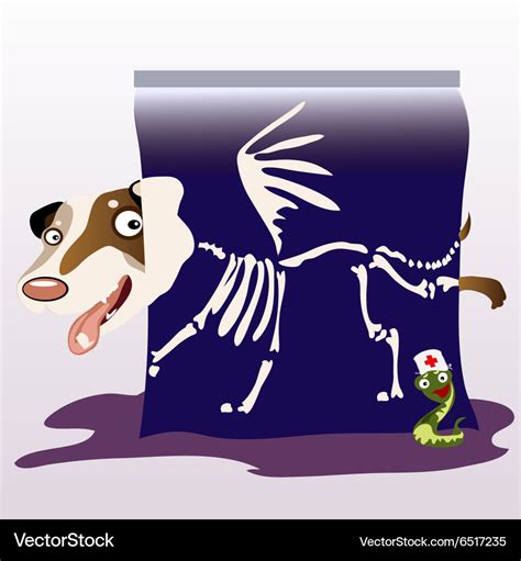 The dog on the x-ray Royalty Free Vector Image