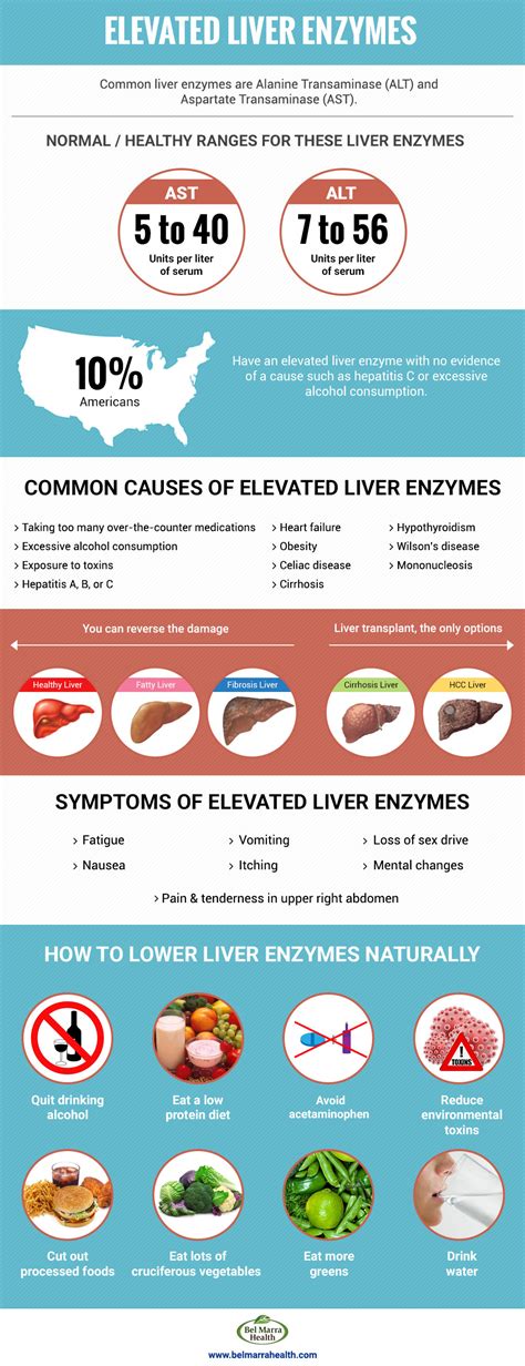 Understanding Elevated Liver Enzymes