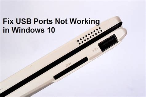 USB Ports Not Working in Windows 10 [SOLVED] – TechCult