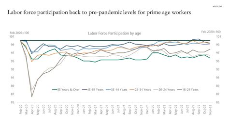 Labor Force Participation by Age - Apollo Academy