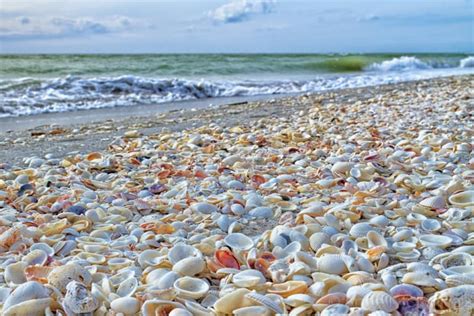 Fort Myers & Sanibel Beaches - Beach Travel Destinations