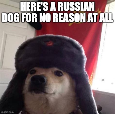 Russian Doge - Imgflip