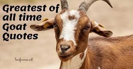 100 Greatest of all time Goat Quotes | Goat Quotes for Instagram