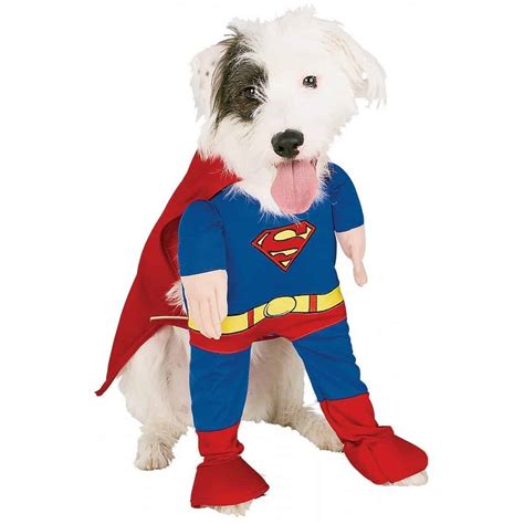 Superman Dog Costume - ThingsIDesire