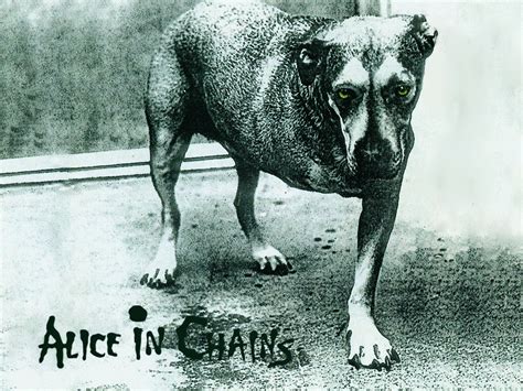 90's Nostalgic — The album cover for Alice in Chains self-titled...