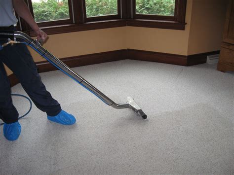 The Importance of Hiring Professional Carpet Cleaning Australia