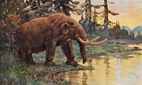 Mastodon Habitat