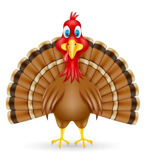 turkey bird vector illustration 492703 Vector Art at Vecteezy