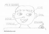 The Five Senses Coloring Pages  Home sketch template