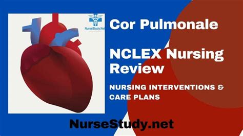 Cor pulmonale Nursing Care Plans Diagnosis and Interventions - NurseStudy.Net