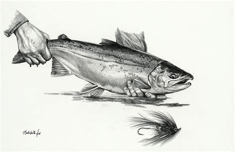 Pacific Salmon Pencil Drawing - BobWhite Studio