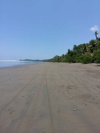 Uvita Beach - All You Need to Know BEFORE You Go - Updated 2019 (Costa ...