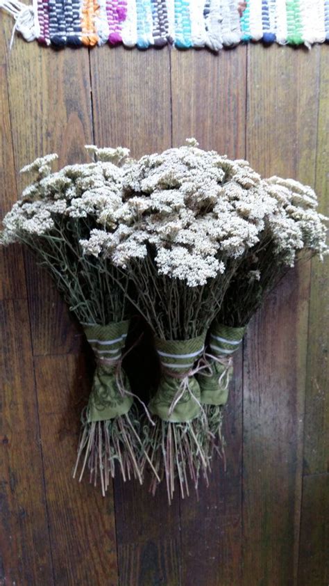 rustic dried flower bouquet yarrow achillea millefolium common magical ...