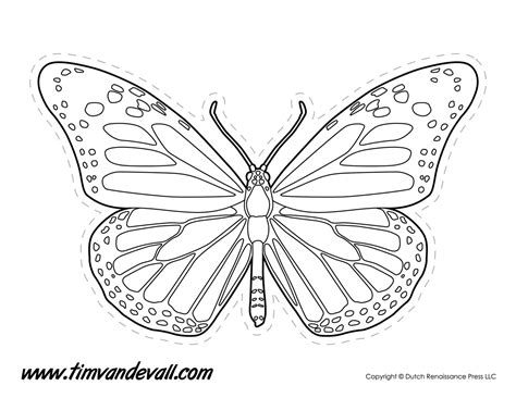 Butterfly Line Drawing at PaintingValley.com | Explore collection of Butterfly Line Drawing