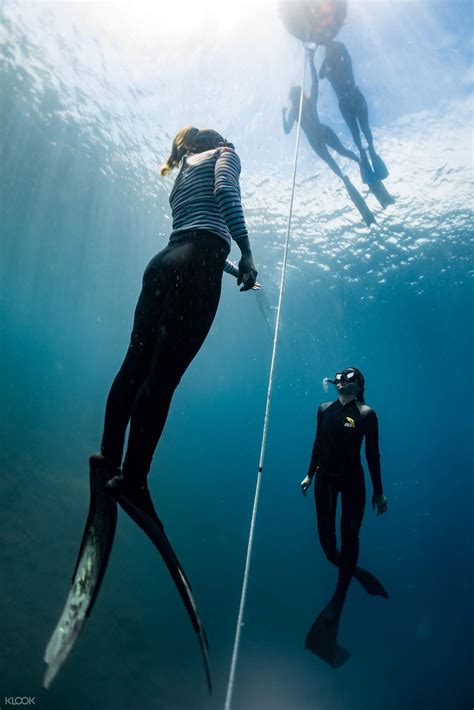 Freediving Certification Course (Molchanovs Wave 1)