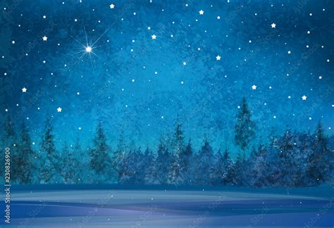 Vector winter wonderland background. Starry night sky and forest background. Stock Vector ...