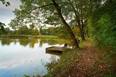 Premium Photo | Autumn lake