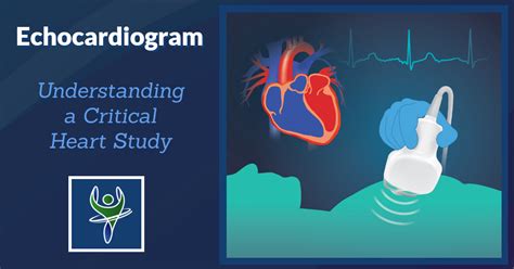 Echocardiogram - Capitol Imaging Services