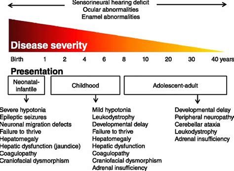 Zellweger syndrome causes, symptoms, diagnosis, treatment & life expectancy