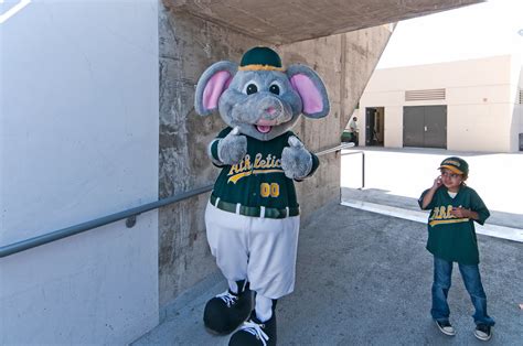 Stomper (_DSC4736a) | The Oakland A's Elephant Mascot, Stomp… | Flickr